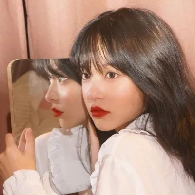 疯狂的狮王